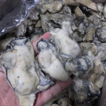 牡蛎肉单冻原汁无沙大量价格优惠批发批发