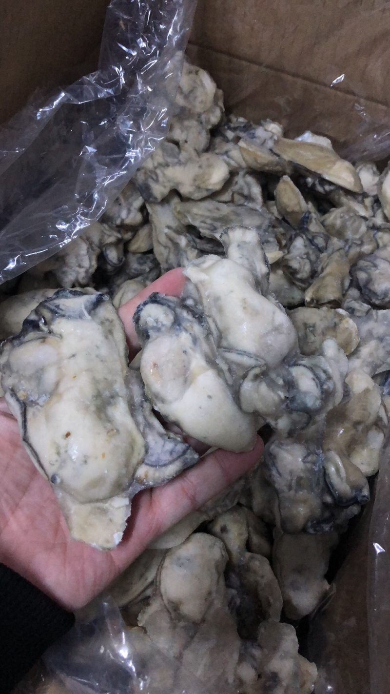 牡蛎肉单冻原汁无沙大量价格优惠批发批发
