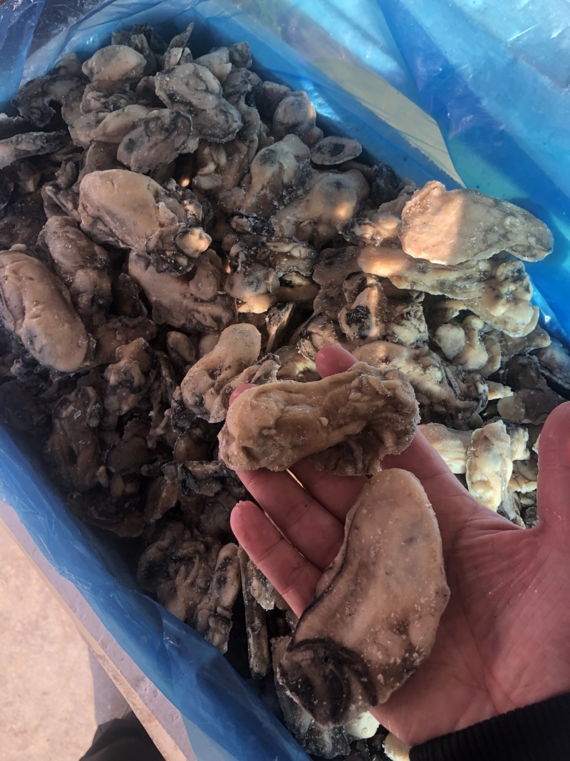 牡蛎肉单冻原汁无沙大量价格优惠批发批发