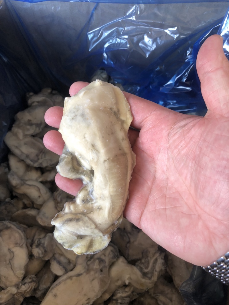 牡蛎肉单冻原汁无沙大量价格优惠批发批发