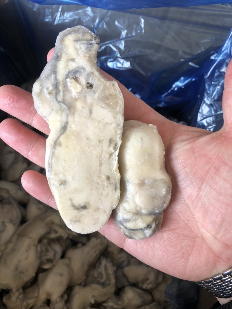 牡蛎肉单冻原汁无沙大量价格优惠批发批发