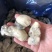 牡蛎肉单冻原汁无沙大量价格优惠批发批发