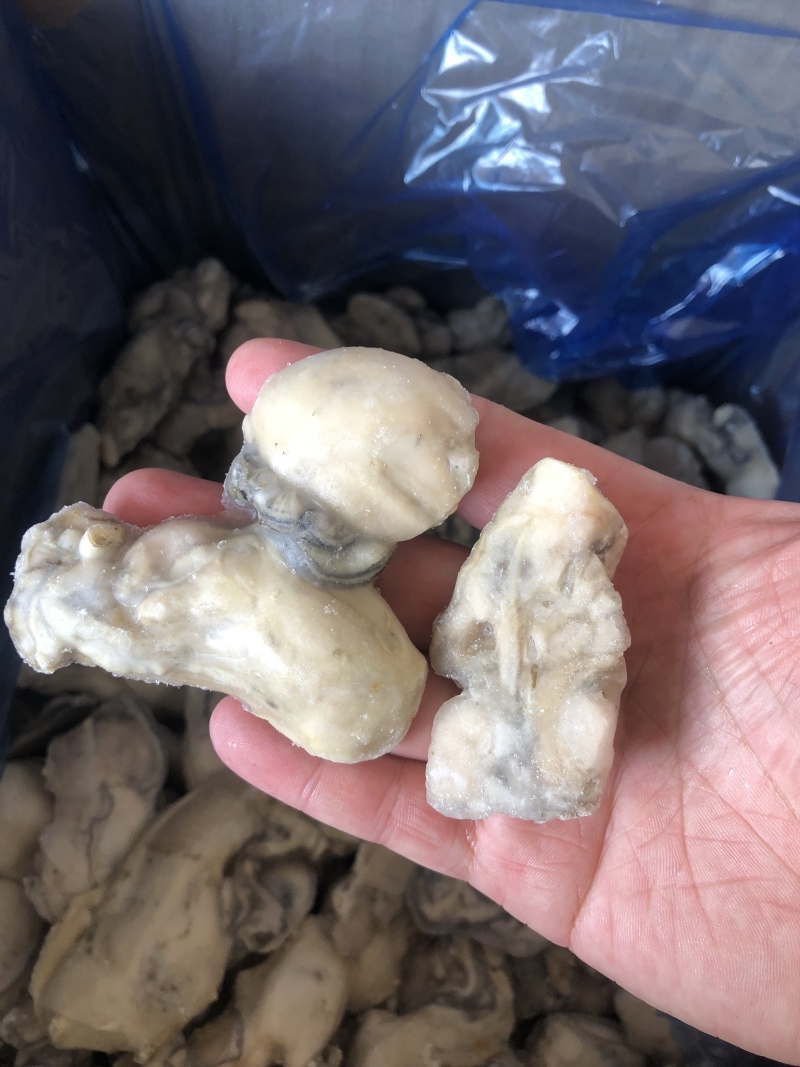 牡蛎肉单冻原汁无沙大量价格优惠批发批发