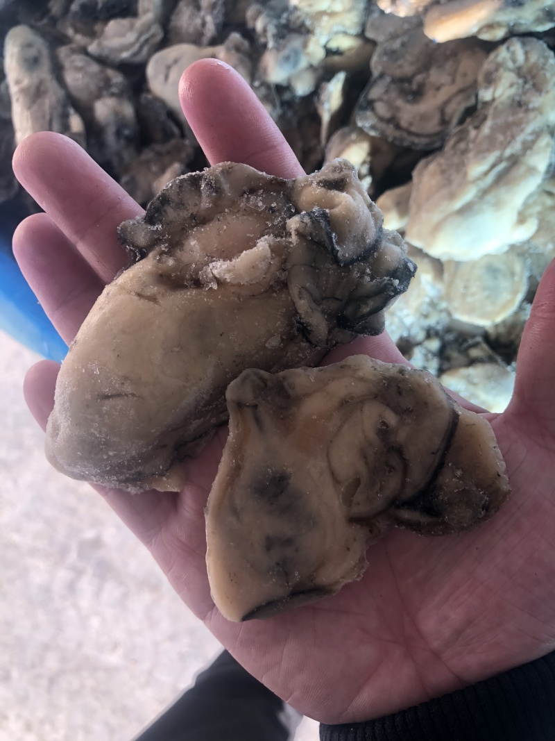 牡蛎肉单冻原汁无沙大量价格优惠批发批发