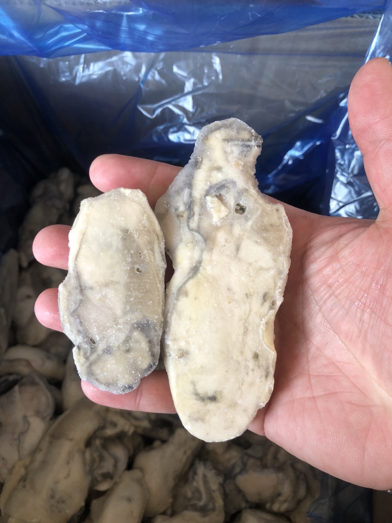 牡蛎肉单冻原汁无沙大量价格优惠批发批发
