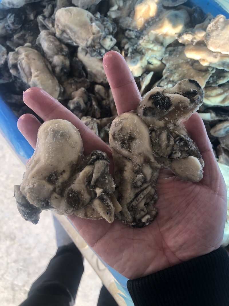 牡蛎肉单冻原汁无沙大量价格优惠批发批发