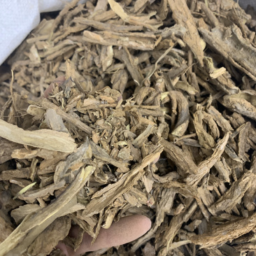 地骨皮水洗地骨皮过二号筛子无硫磺熏蒸