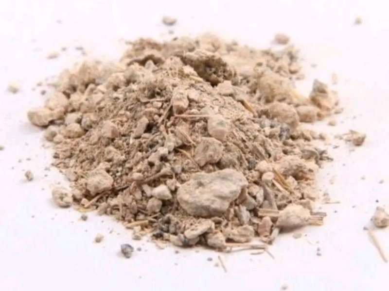 【产地直供】鹰屎白鹰粪白鹰粪冷背药材一公斤起售