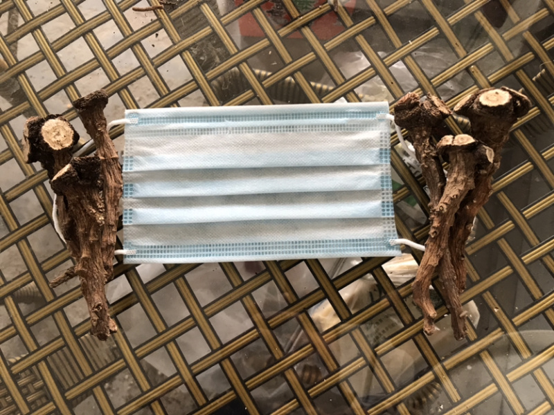 蒲公英根