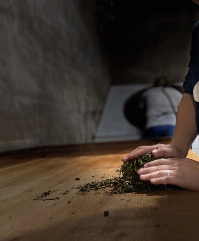 普洱茶