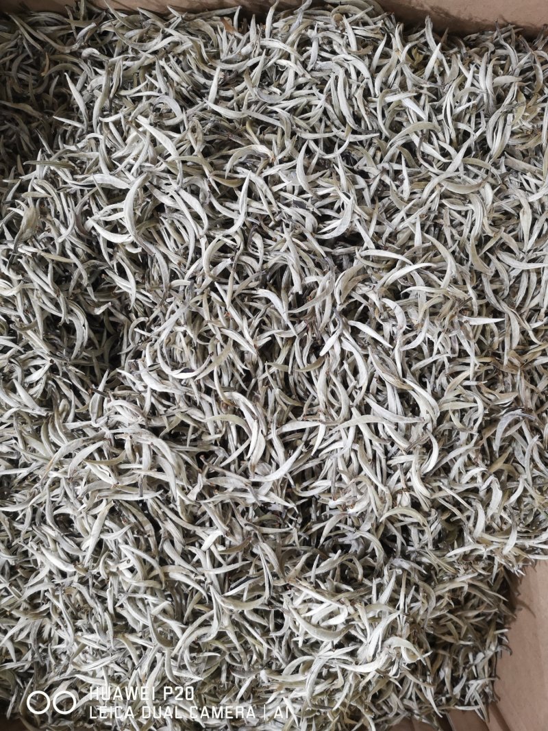 普洱茶