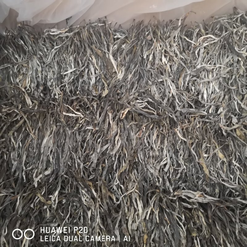 普洱茶