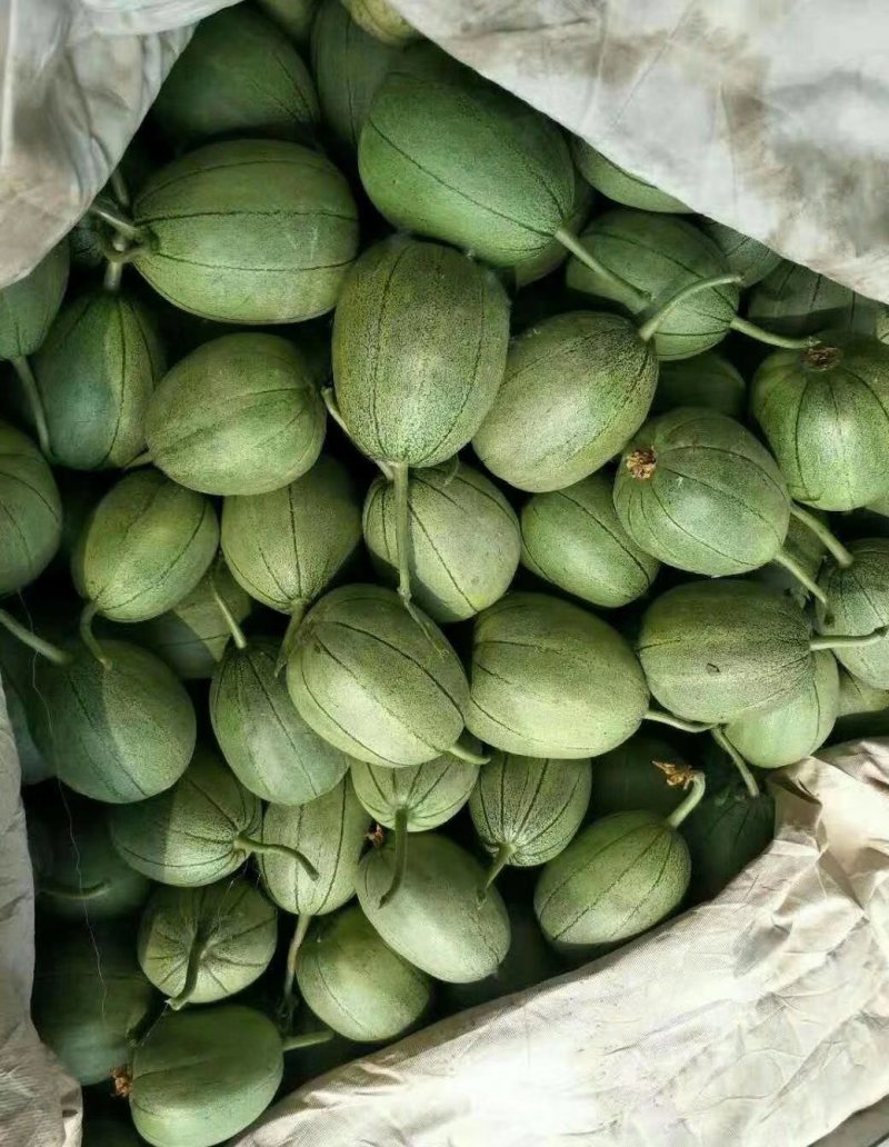 【推荐】香甜可口沙土地芝麻脆大量有货欢迎合作
