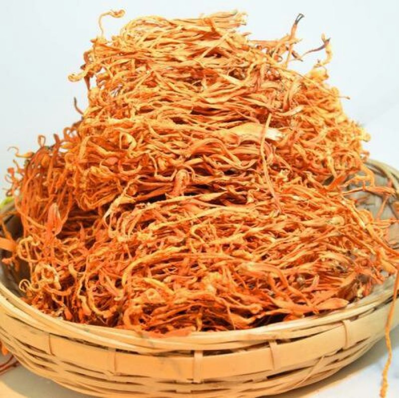 虫草花，常年批发供应虫草花中药材