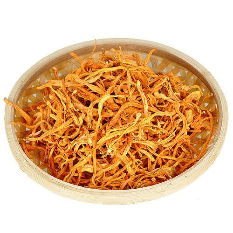虫草花，常年批发供应虫草花中药材