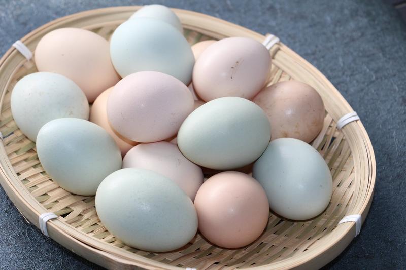 鸡蛋土鸡蛋一件代发正宗农家散养土鸡货源充足