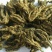 鸡爪黄连苗仿野生种植种植免费提供专业技术