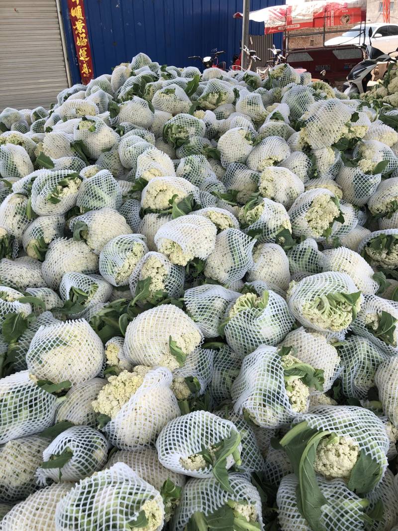 精品菜花小米花，有机花1.7-2.5斤左右，产地直供。