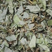 广金钱草新货，桂林货，切片筛粉袋装、积压件