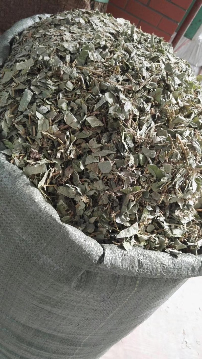 广金钱草新货，桂林货，切片筛粉袋装、积压件