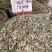 广金钱草新货，桂林货，切片筛粉袋装、积压件