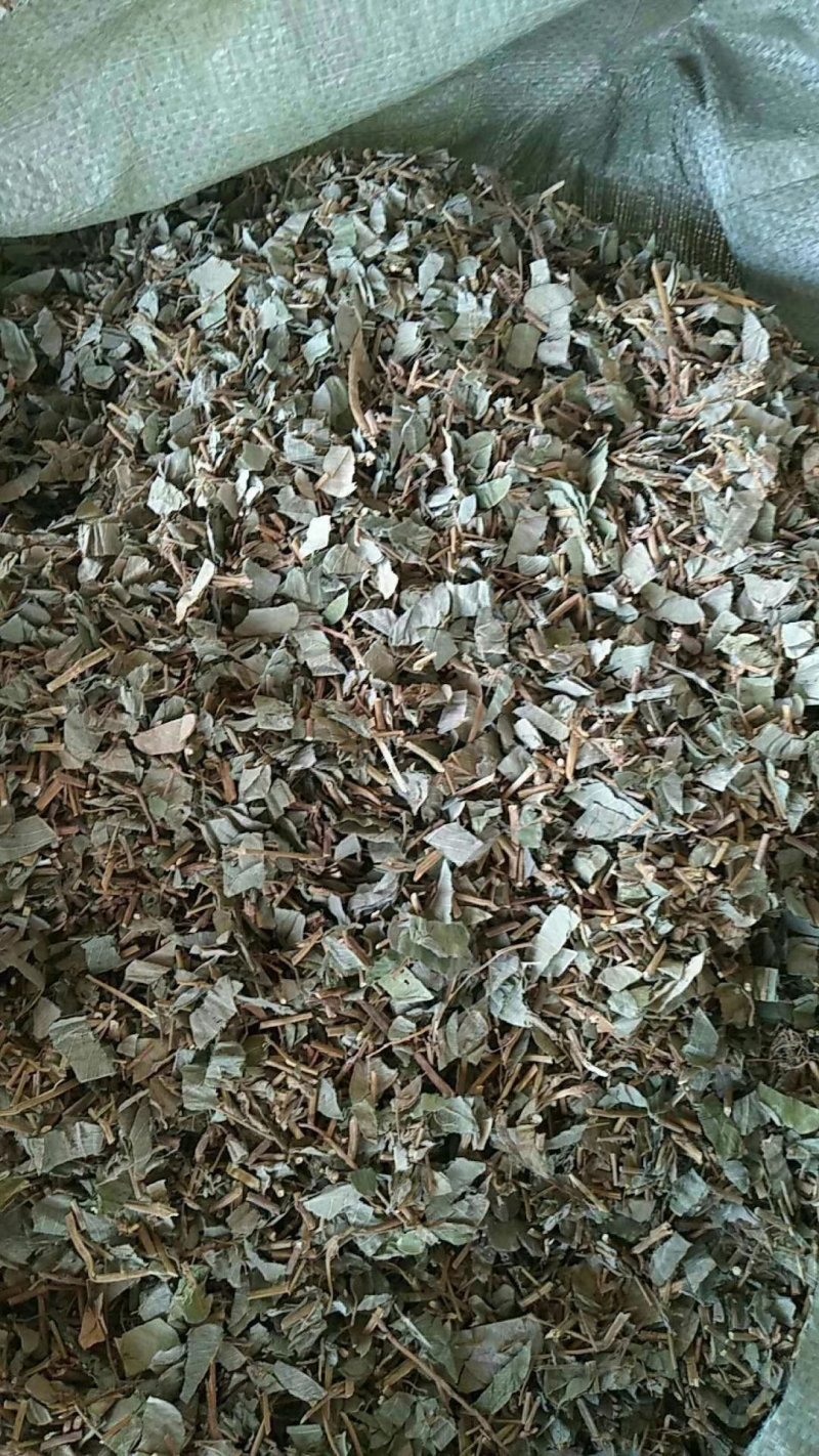 广金钱草新货，桂林货，切片筛粉袋装、积压件