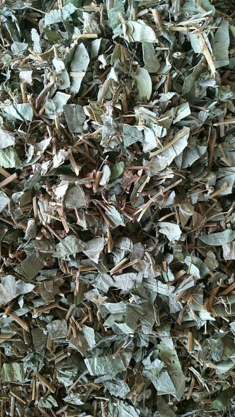 广金钱草新货，桂林货，切片筛粉袋装、积压件