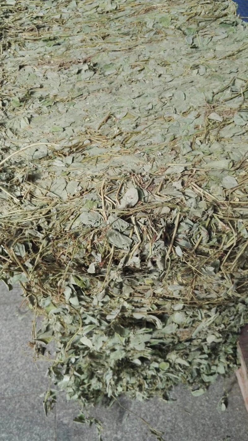 广金钱草新货，桂林货，切片筛粉袋装、积压件