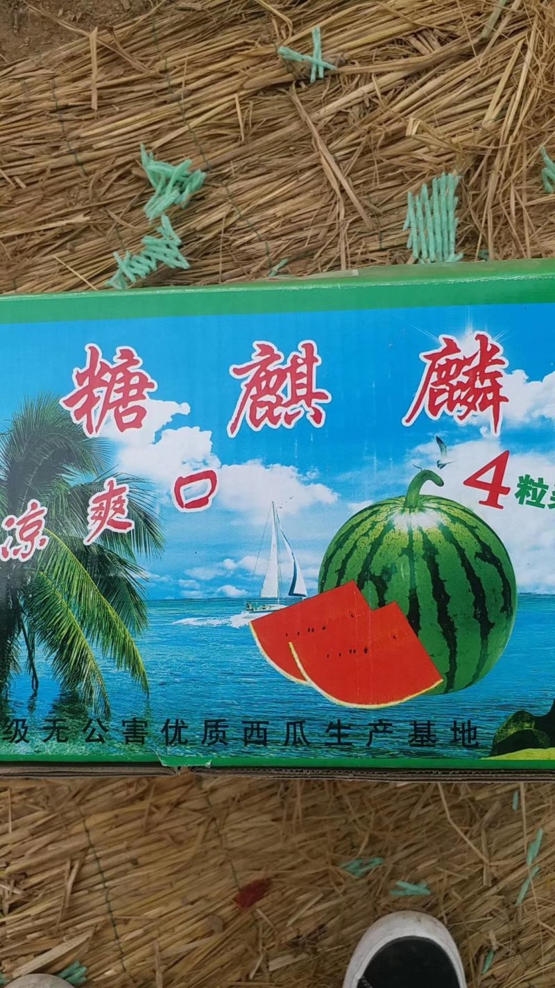 精品美都，西瓜产地直供保质保量货源充足，