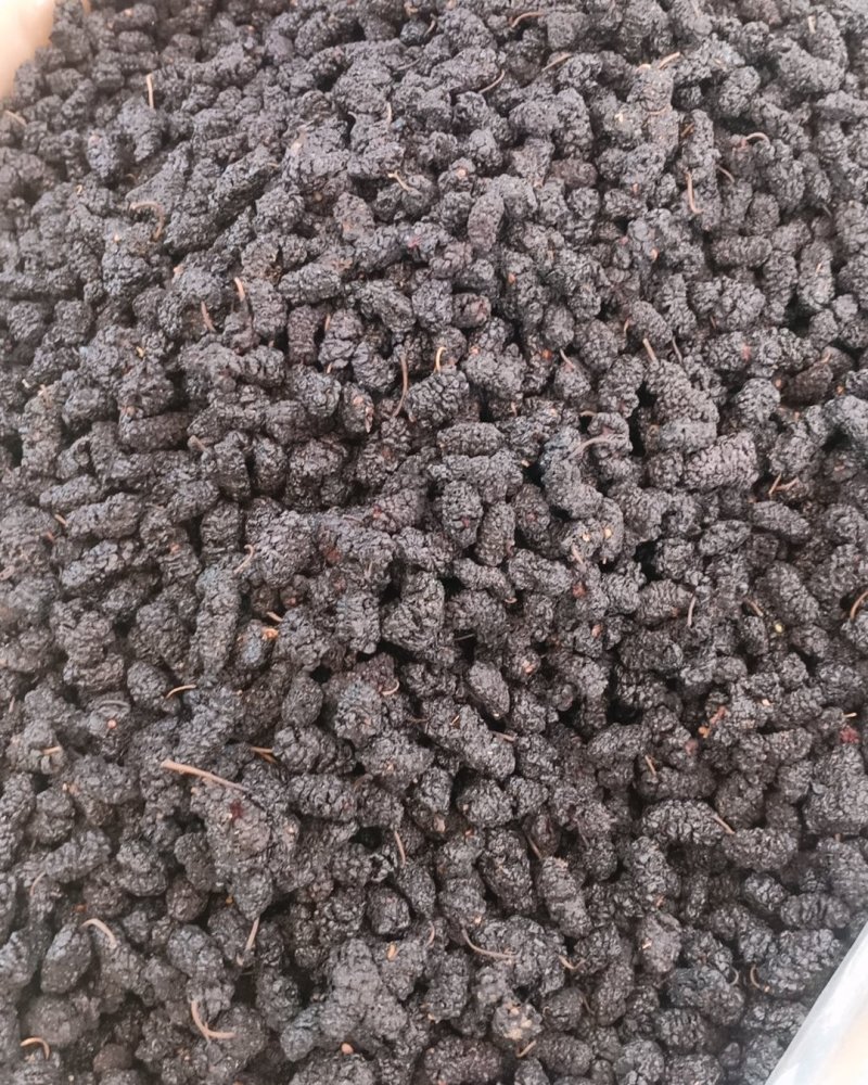 黑桑葚干一手货源，产地直销！大货批发价优