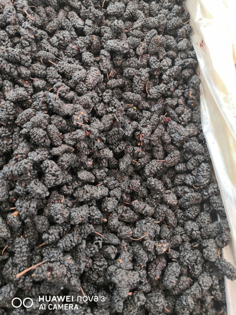 黑桑葚规格其全一手货源价格优！量大包邮。