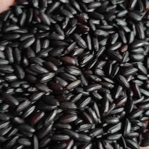 黑紫米，做米饭，熬粥都可以货源充足量大从优