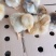 孵化厂直销大种k9鸡苗，