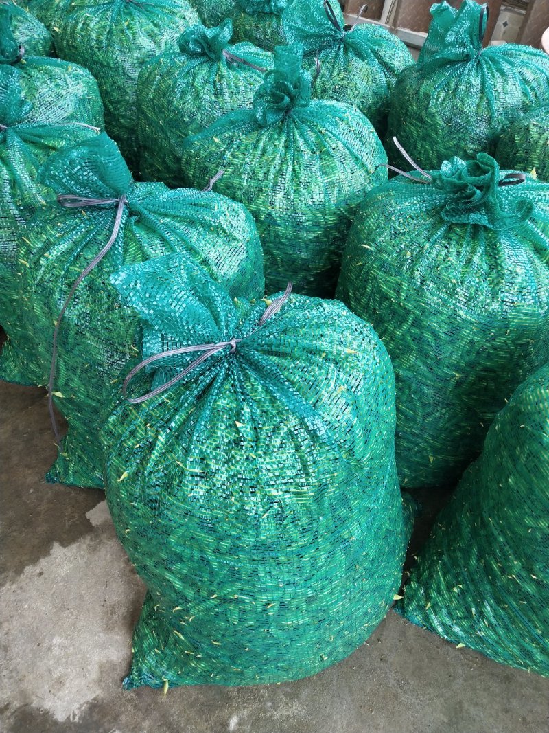毛豆大量上市了棵立饱满提供返程车。