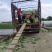 直营供货大量白菜上市了欢迎老板骚扰