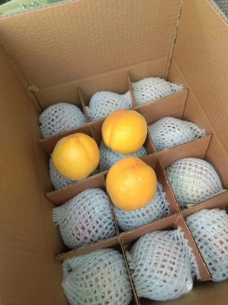 蒙阴沂蒙山水蜜桃一件代发供应微商电商欢迎合作
