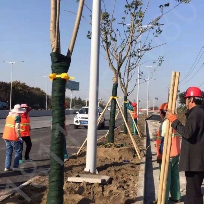 园林绿化树支撑杆，杨木杆，杉木杆，品种齐全