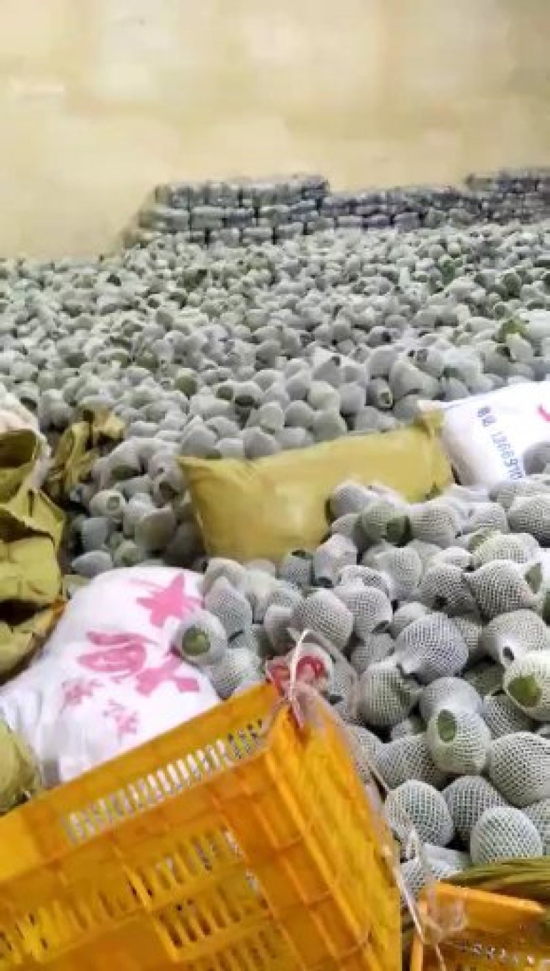 精品兰州货甘蓝花菜实力代办，欢迎全国各地老板咨询。