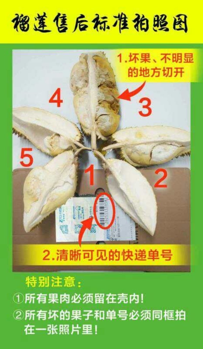 红肉菠萝蜜一件代发电商微商对接24小时发现摘现发