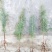 雪松，便宜出售雪松一米到八米