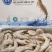 青虾