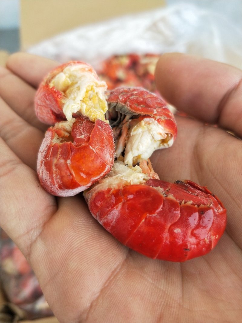 龙虾尾