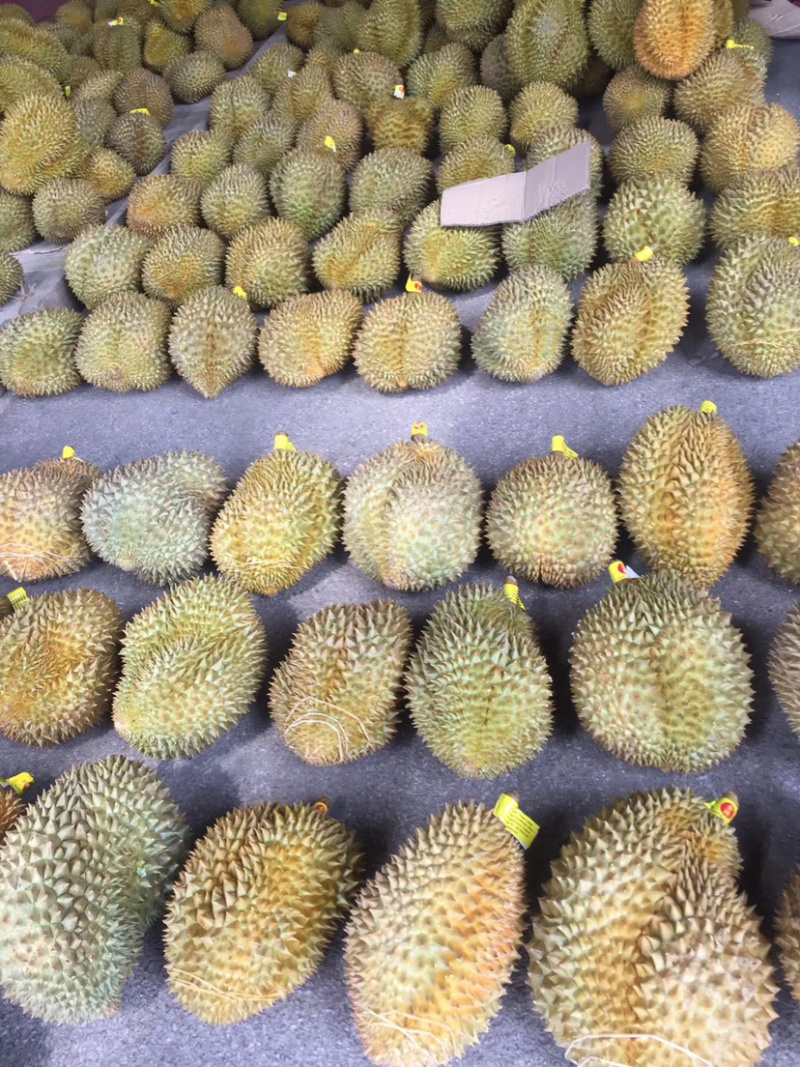 泰国榴莲批发代发欢迎咨询
