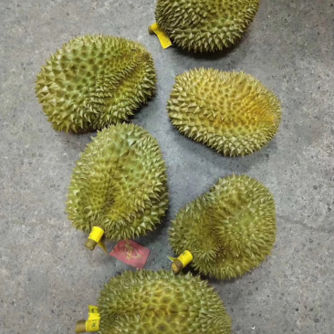 泰国榴莲批发代发欢迎咨询