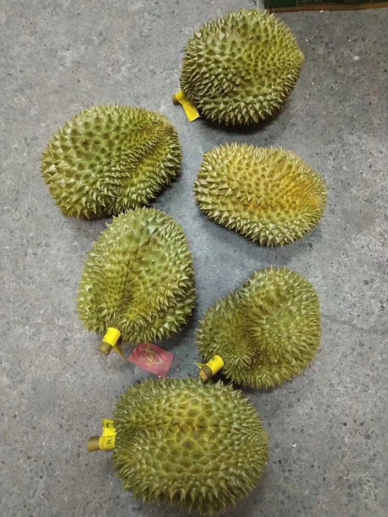 泰国榴莲批发代发欢迎咨询