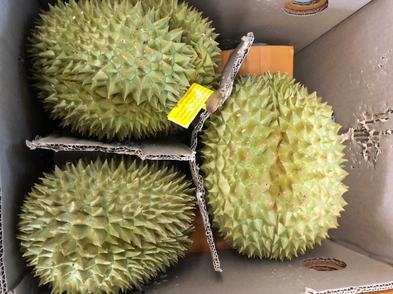 泰国榴莲批发代发欢迎咨询