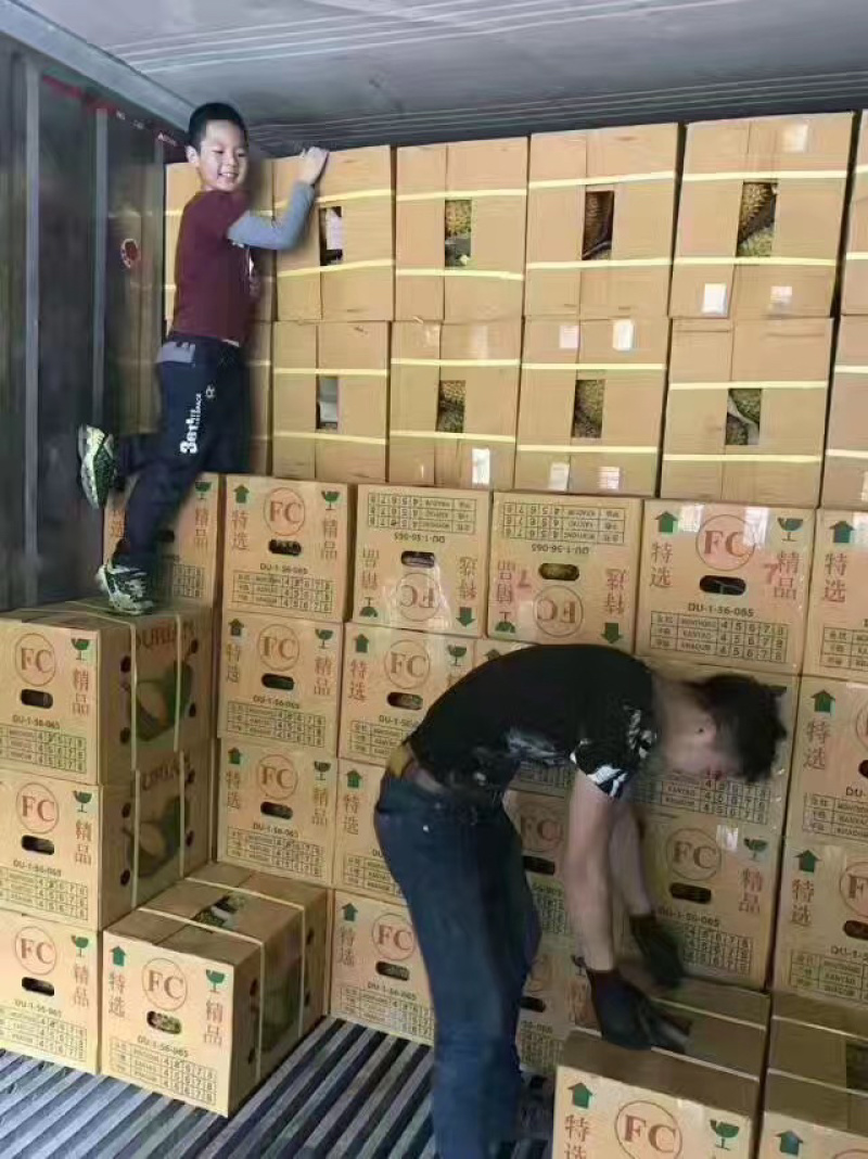 泰国榴莲批发代发欢迎咨询