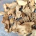 姜片药食同源生姜片大货批发价量大从优各种规格