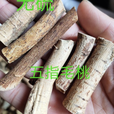 农家野生五指毛桃根无硫煲汤佳料五指牛奶根