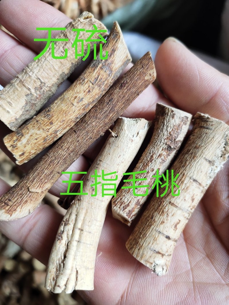 农家野生五指毛桃根无硫煲汤佳料五指牛奶根